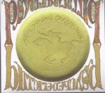 Psychedelic Pill cover